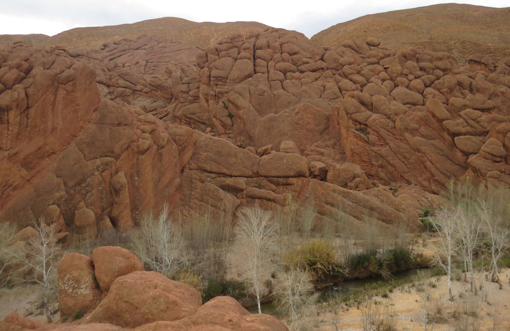 Dades Gorges Moroccan Escapade