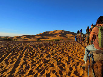 Camel Ride Moroccan Escapade