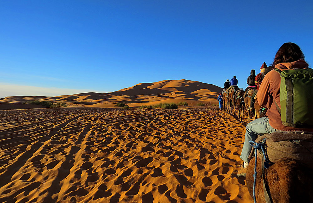 Camel Ride Moroccan Escapade