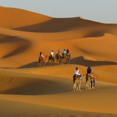 moroccan escapade sahara dunes camels