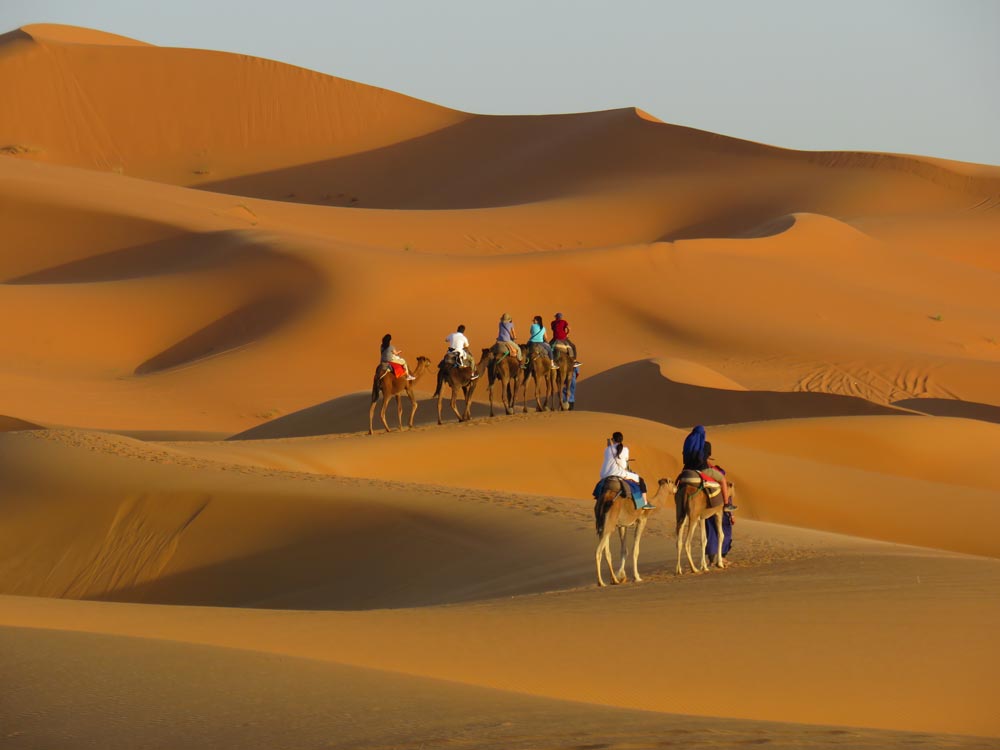 moroccan escapade sahara dunes camels