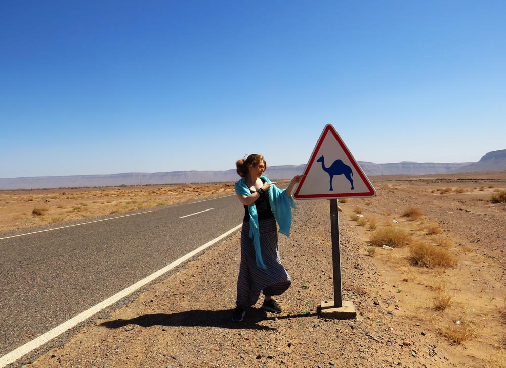 moroccan escapade camel road sign